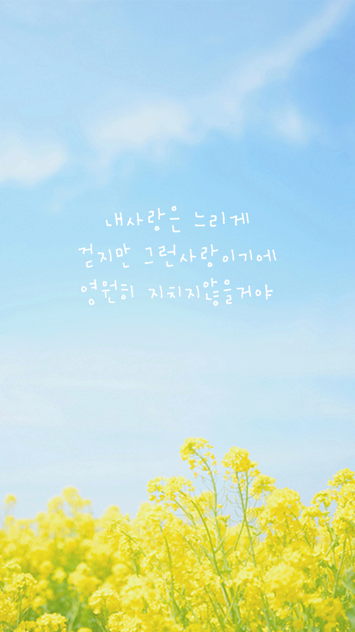 폰사랑 이미지