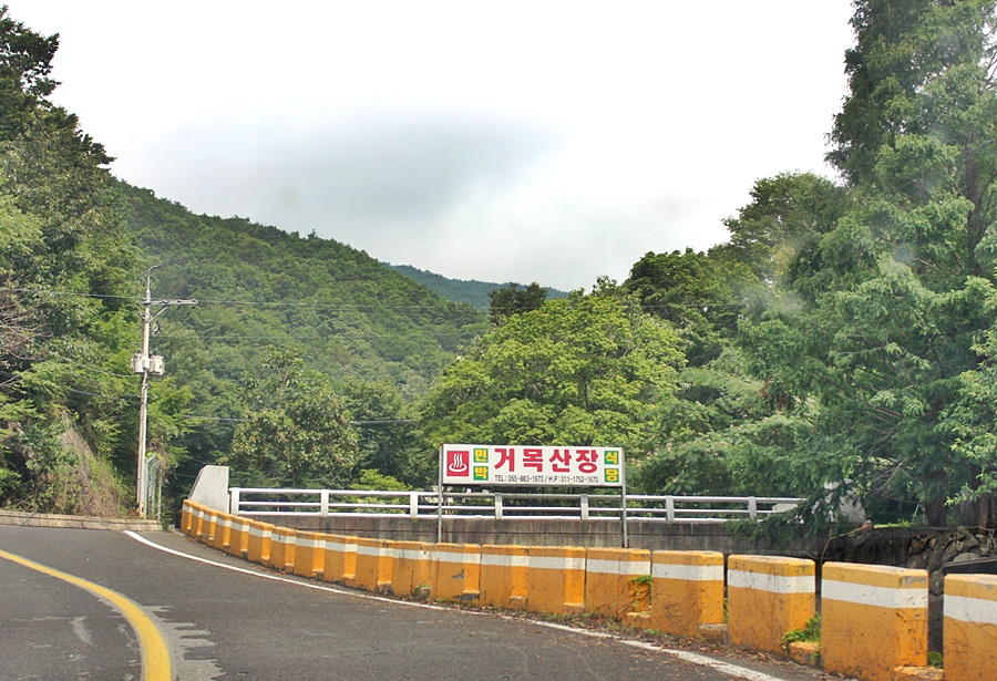 거목민박 이미지