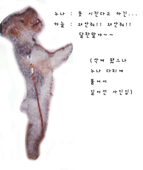 폭스PC방 이미지