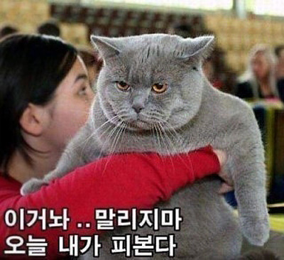 정은이네 이미지