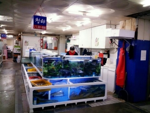 청해회센타 이미지