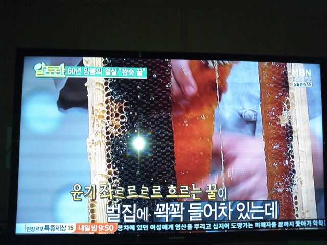 건강보감 이미지