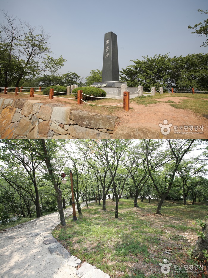 사천비연보존회 이미지