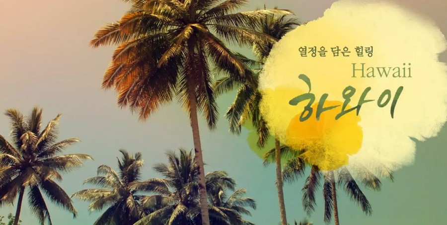 일성여행사 이미지