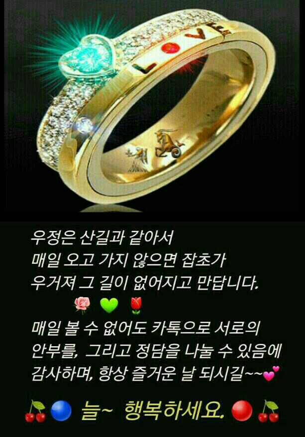 손국수집 이미지