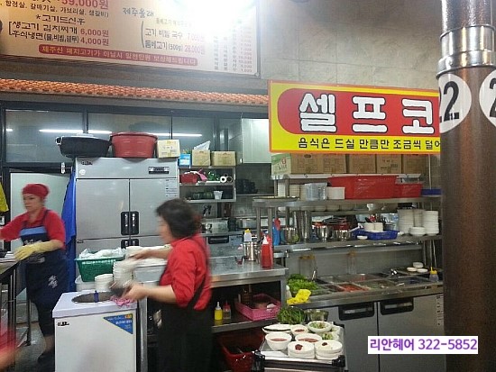 제주도야지 이미지
