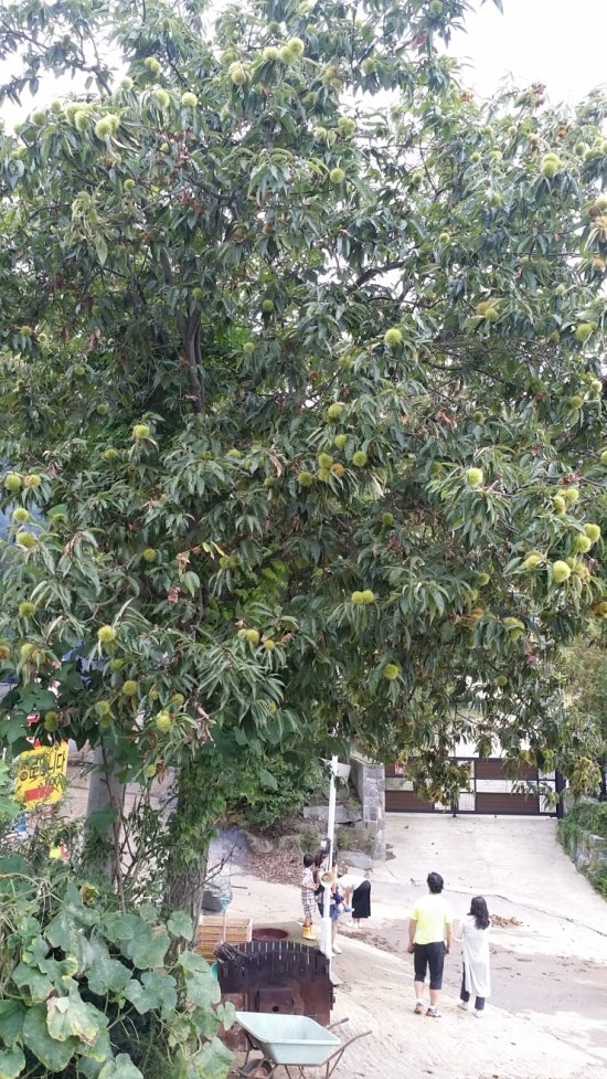 (주)아이캠퍼 이미지