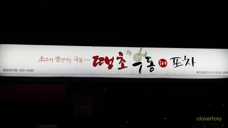 땡초우동in포차 이미지