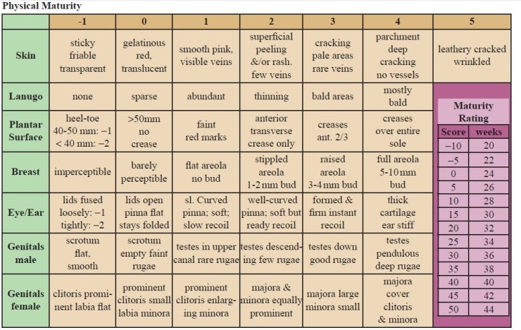 New Ballard Scale new-ballard-scale