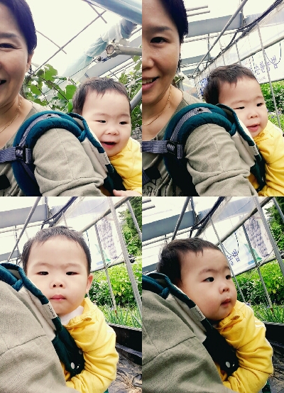 흥부골농원 이미지