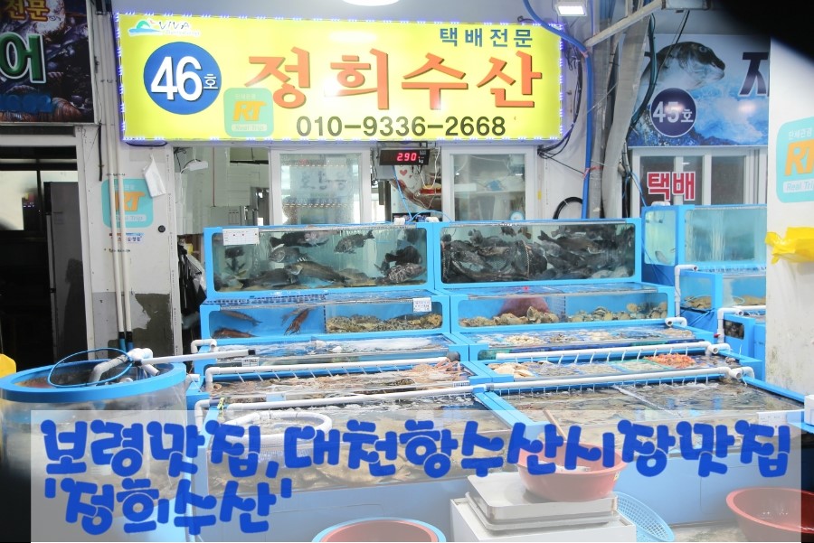 정희수산 이미지