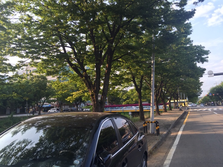 배스킨라빈스안산고잔 이미지