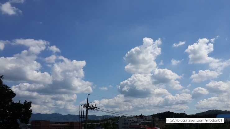 대성인쇄소 이미지