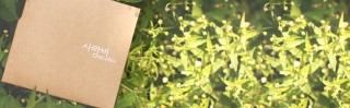 스튜디오D 이미지