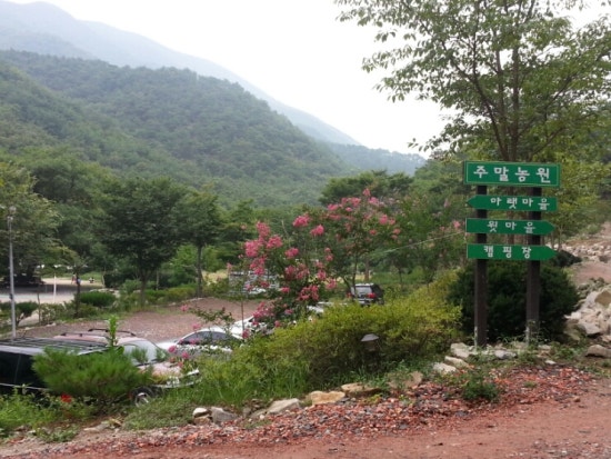 청도농원 이미지