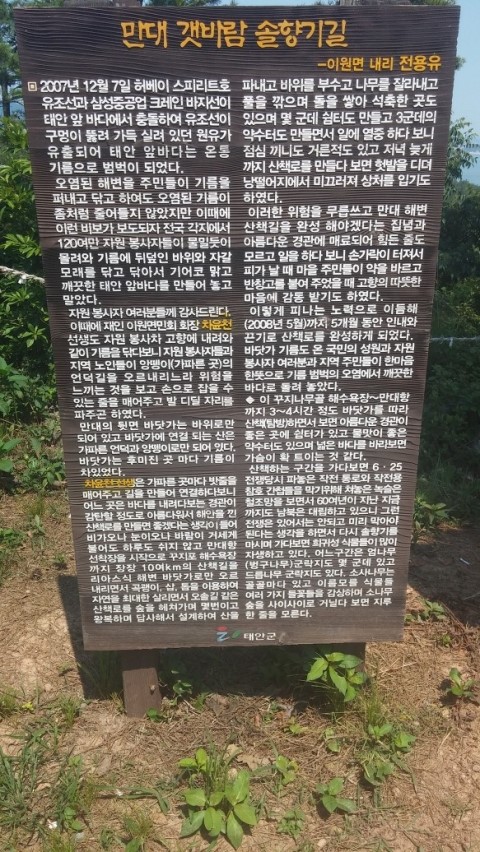 솔향기환경 이미지