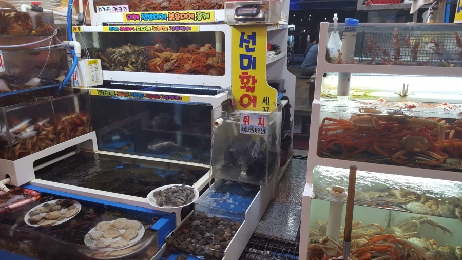 선미수산식당 이미지