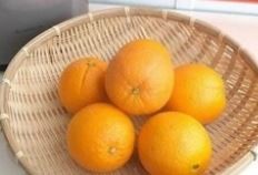 상큼달콤 이미지