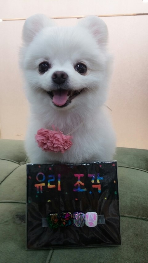 포쉬네일구월점 이미지