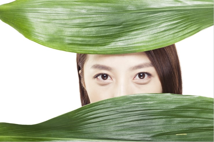화이트듀 이미지