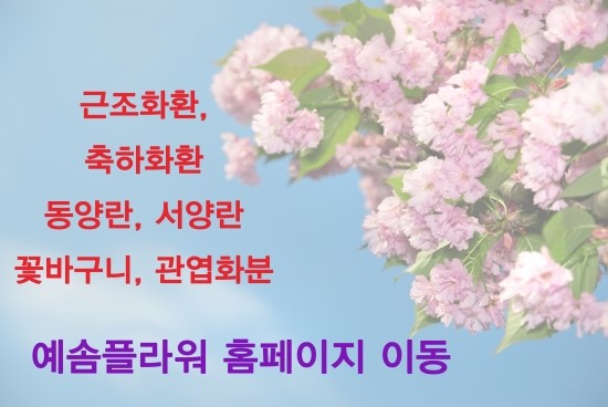 도원꽃집 이미지