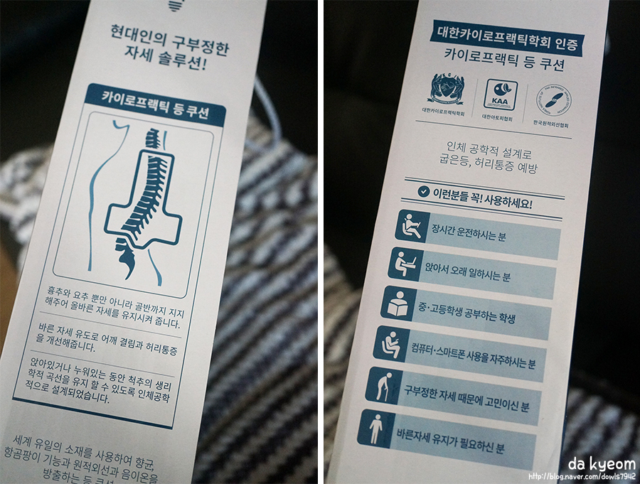 라인카이로프랙틱 이미지