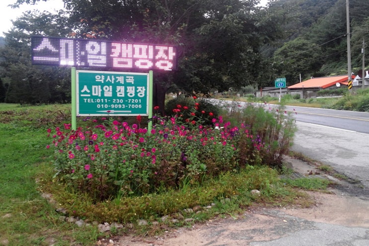 네비다라 이미지