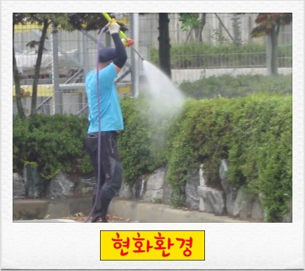현화환경 이미지