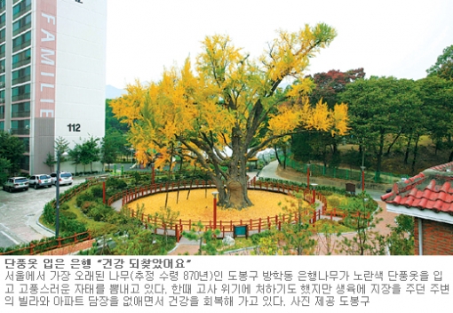 나무특별시 이미지