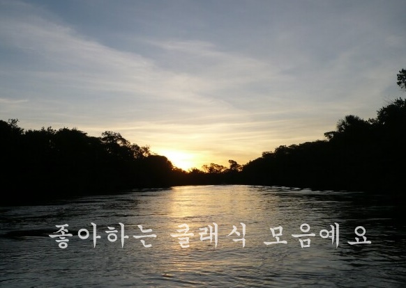 보니또클래식 이미지