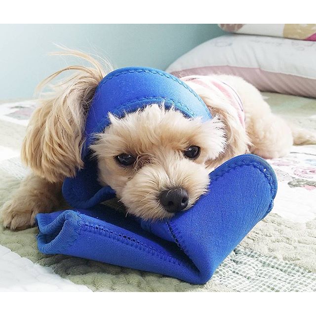 라온그램 이미지