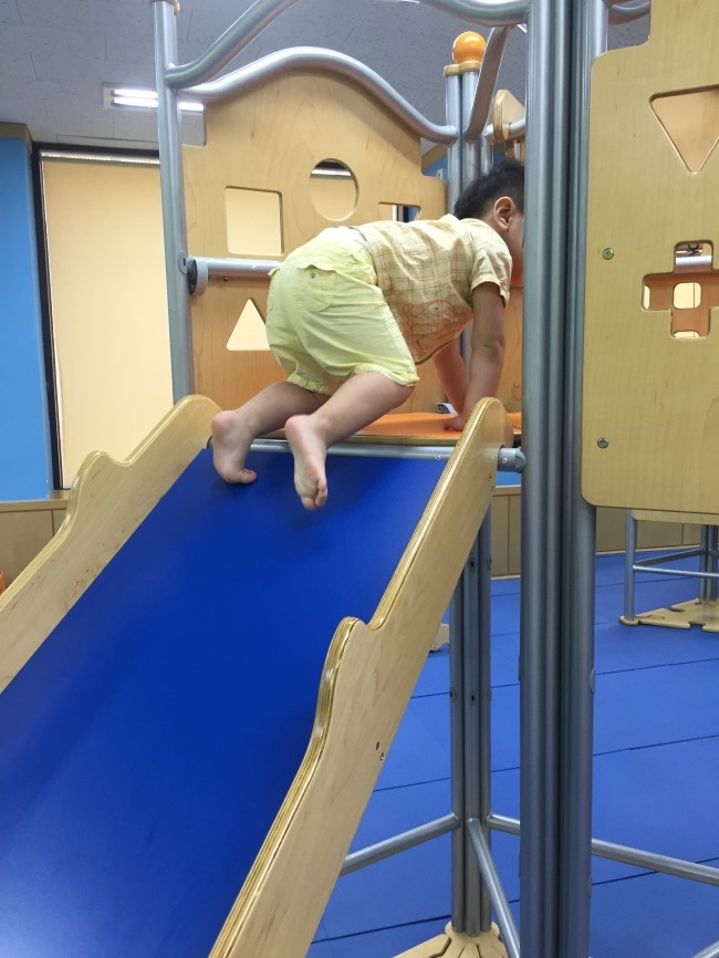 노원짐보리 이미지