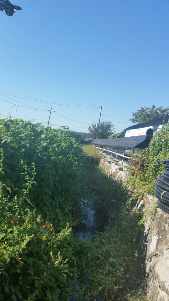 (주)대농 이미지