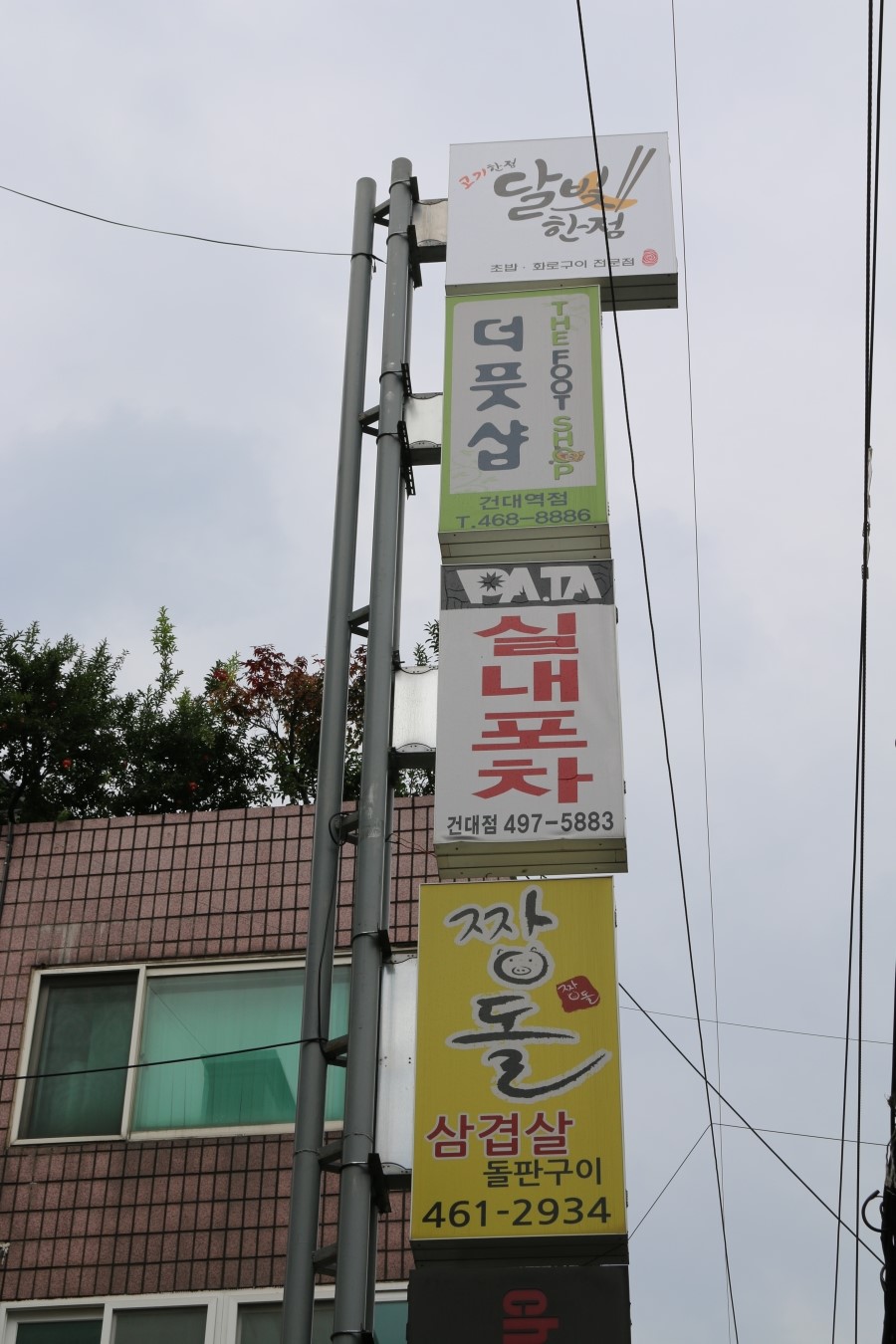 달빛에 고기한점 이미지