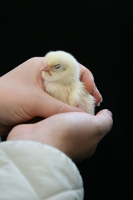 해마루 축산 이미지
