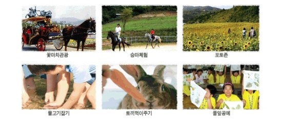 순천꽃마차마을 이미지
