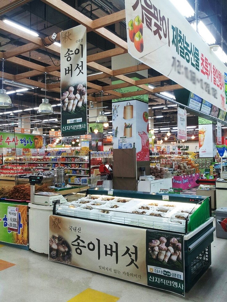 송이푸드 이미지