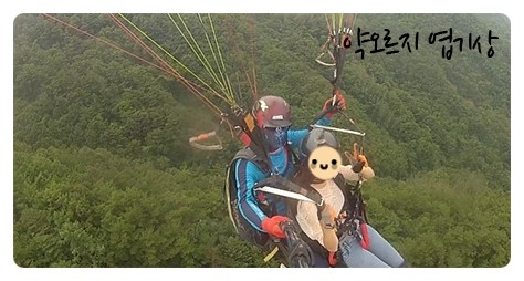 썬미트 이미지