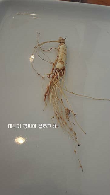 팔당산삼수목원 이미지
