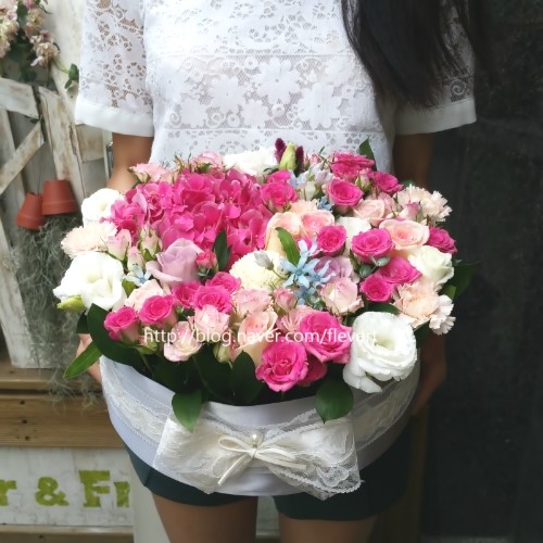 플레베르플라워 이미지