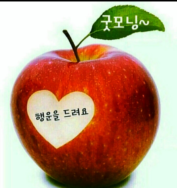 팔도돼지국밥 이미지