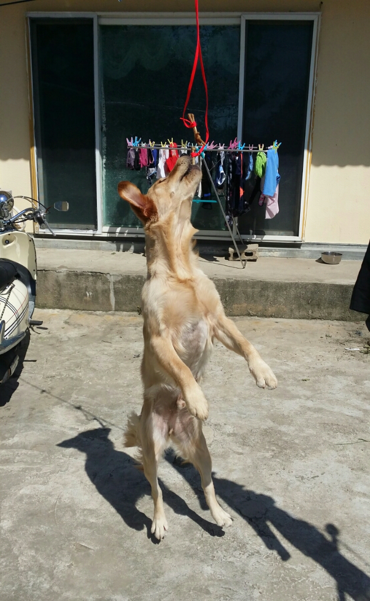공주닭발 이미지