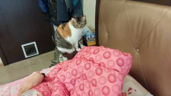마이수리 이미지