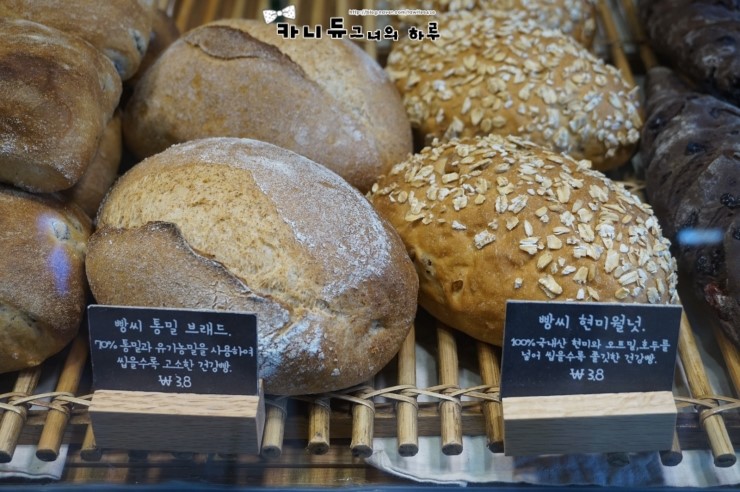브래드씨 이미지