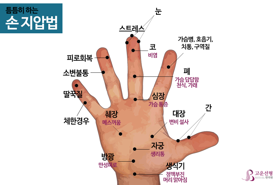 틈틈히 할 수 있는 손 지압! 손 지압표 확인하세요 : 네이버 블로그
