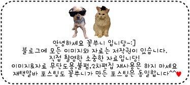 꽃쑤니 이미지