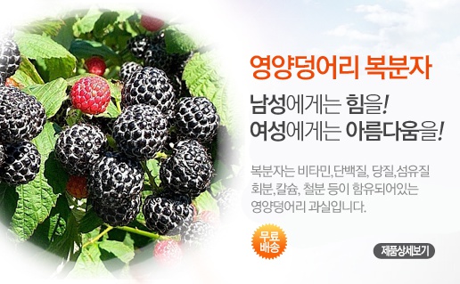 성일농장 이미지