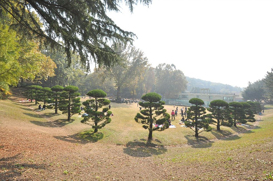 곧바로병원 이미지