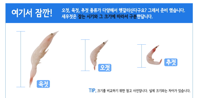 성안호 이미지