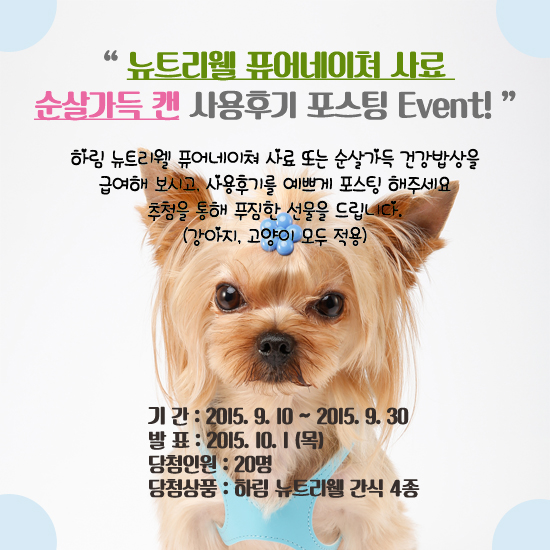 세이브크린 이미지